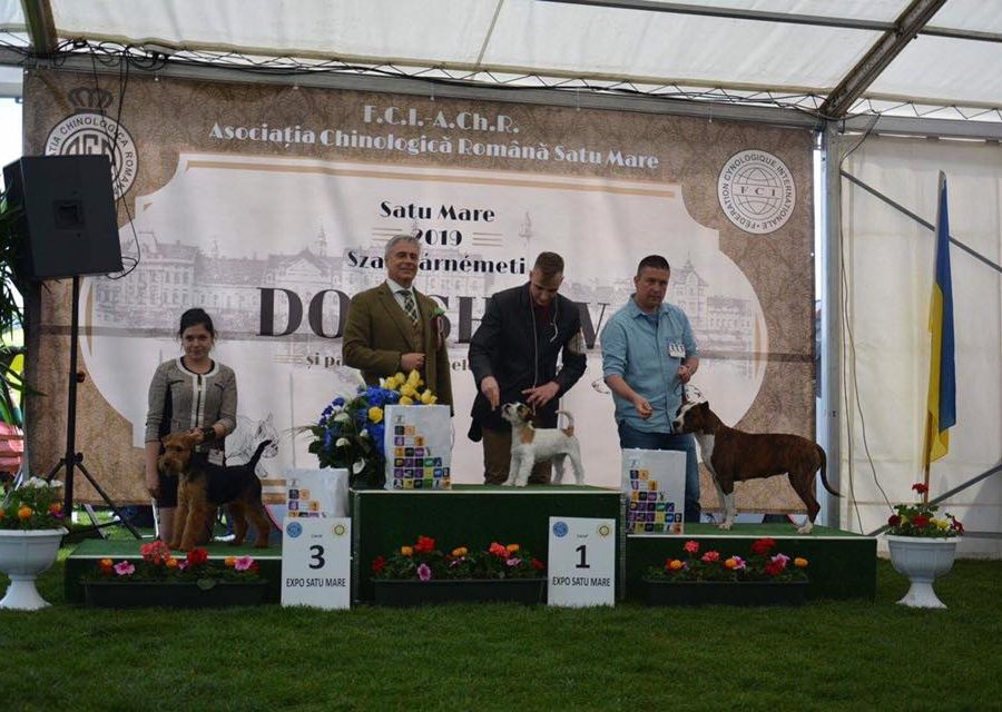 sisi podium